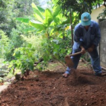 Preparing the soil to plant corn at Nature Seychelles' Heritage (organic) Garden.