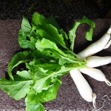 oil obtained from radish seeds is also used in a number of products and beneficial health applications.